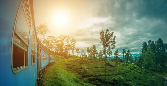 Nanu Oya: Train to Ella, City Tour & Rawana Falls
