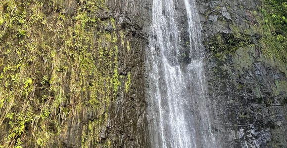 Oahu: Wanderung zu den Manoa Falls und Strandtag an der Ostseite