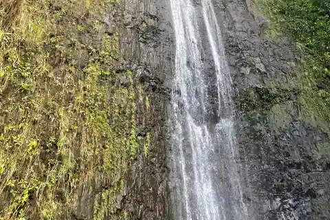 Oahu: Manoa Falls Hike and east side beach day