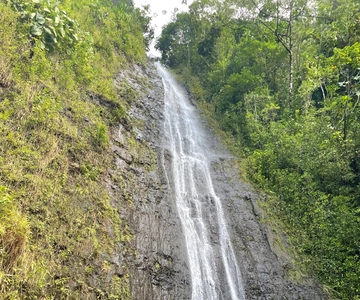 Oahu: Manoa watervallen wandeling en stranddag aan de oostkant