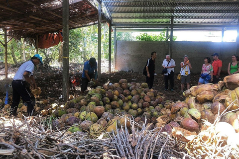 Ben Tre: visit Mekong delta region
