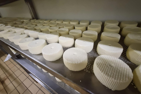 e-bike ring tour between Locorotondo and Martina Franca e-bike tour Locorotondo, Martina Franca and visit to a dairy