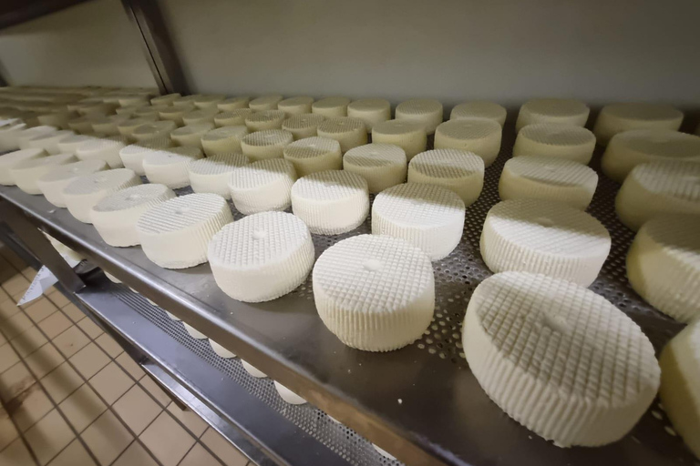 e-bike ring tour between Locorotondo and Martina Franca e-bike tour Locorotondo, Martina Franca and visit to a dairy