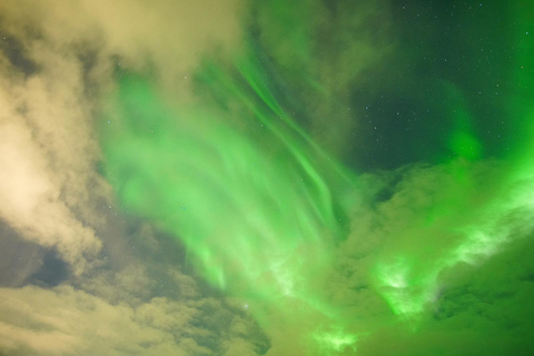 Chase the Magic of the Northern Lights in Tromsø Norway