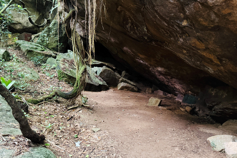 From Colombo: Cave Temples, Jungle Trek & Waterfall Swim