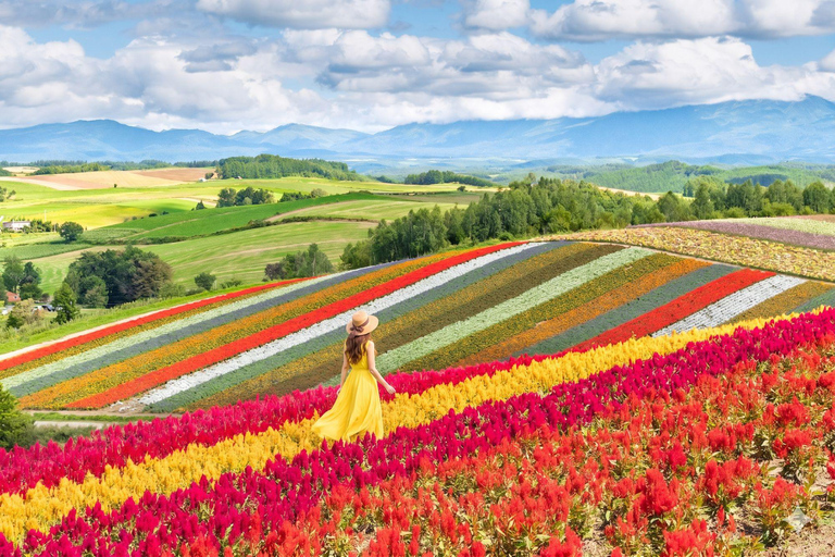 Furano Lavender, Ningle Terrace & Melon Buffet Bus Tour S1-1 [Jun 20 - Aug 9]: Lavender & Buffet