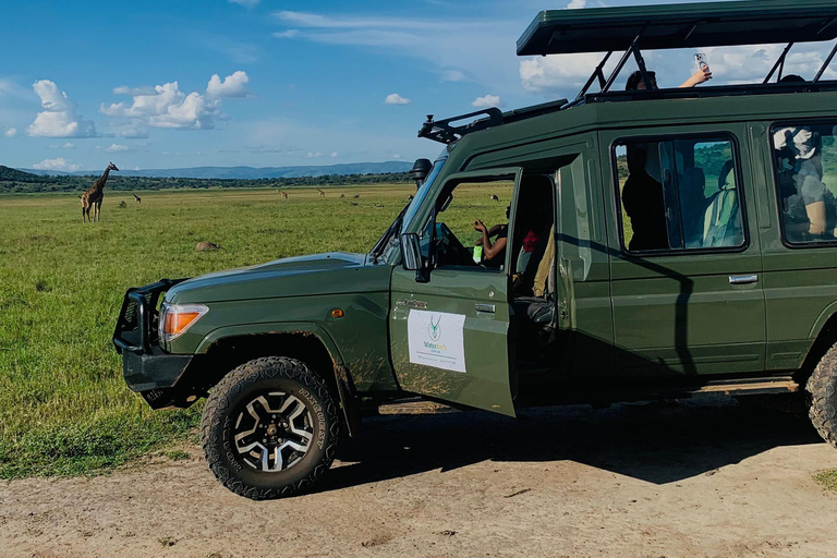 Rwanda: Safari w Parku Narodowym AkageraRwanda: safari, trekking z gorylami i szympansami