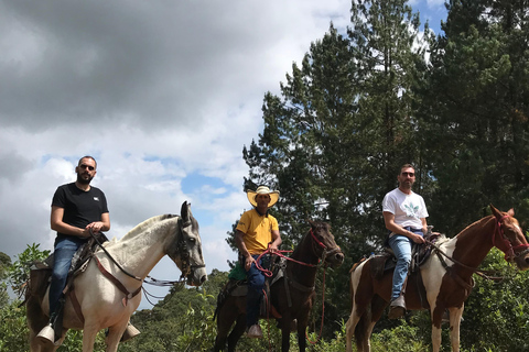 Horseback riding through the mountains of Medellín