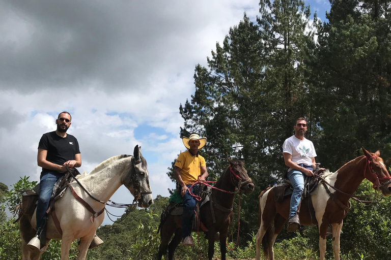 Passeio a cavalo pelas montanhas de Medellín