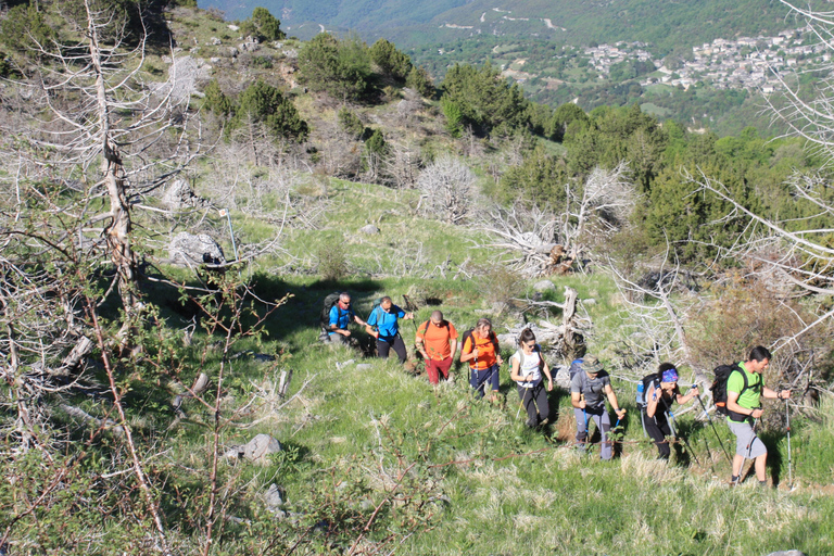 Tour guidato al lago del drago del monte Tymfi