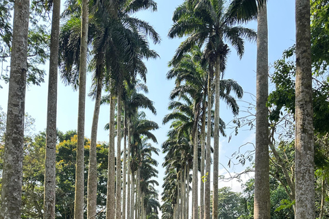 Full Day Tour: Aburi Botanical Gardens, ATV, & Waterfalls