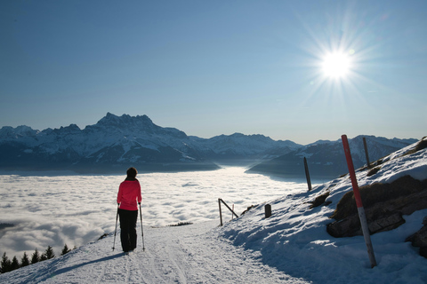 Lucerna: Aventura de senderismo con raquetas de nieve a Glaubenberg LangisLucerna: Aventura de senderismo con raquetas de nieve hasta Glaubenberg Langis