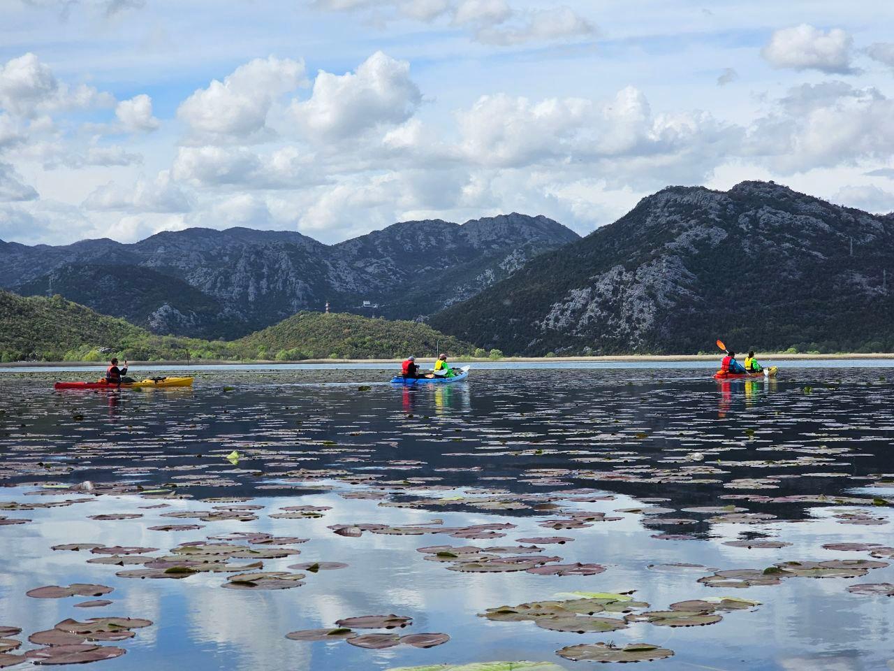 Einzigartige eintägige Kajaktour auf dem Skadarsee ab Budva