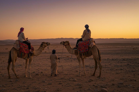 Marrakech: Agafay Wüste Quad &amp; Kamelreiten mit Dinner ShowMarrakesch: Quad- und Kamelritt in der Agafay-Wüste mit Dinner-Show