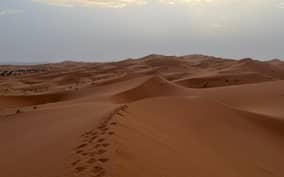  - Canarie.it