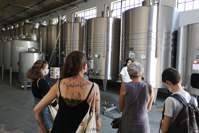 From Porto: Wine Trip w/ Tastings, Chef's Lunch & Boat Tour