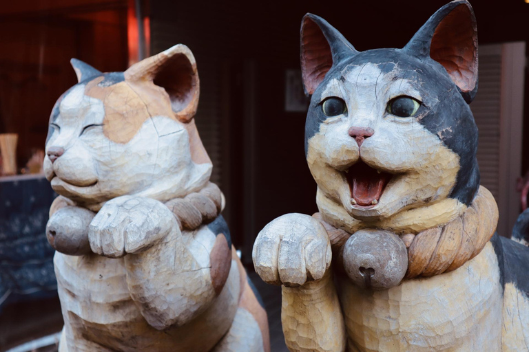 Tokyo: Tour a piedi del vecchio quartiere di Yanaka