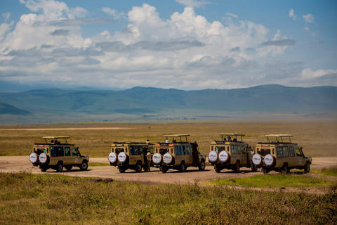 Arusha : excursion d&#039;une journée au cratère du Ngorongoro avec déjeuner