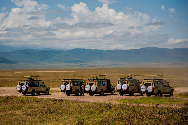Arusha : excursion d&#039;une journée au cratère du Ngorongoro avec déjeuner