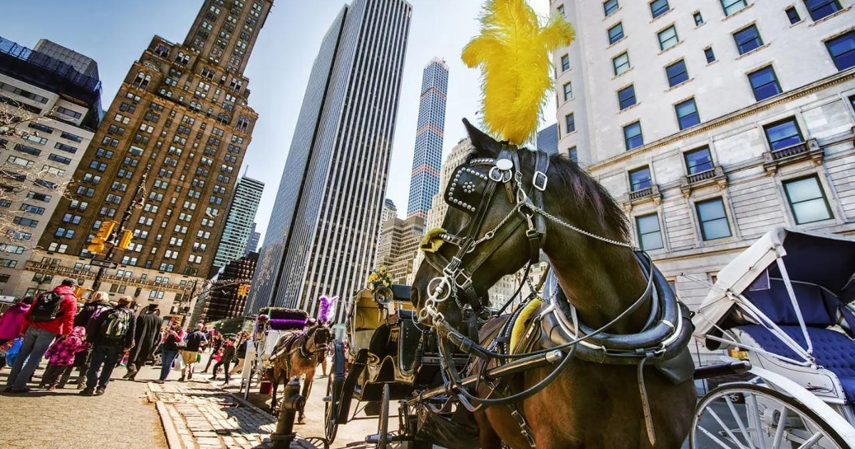 NYC:Guided Central Park Horse Carriage Ride | GetYourGuide