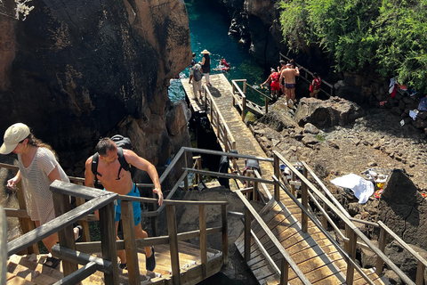 Santa Cruz: Snorkeling Sightseeing Tour at Las Grietas and Playa de los Alemanes