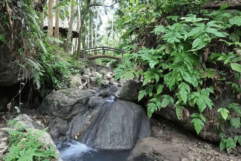 Cebu : excursion d&#039;une journée à Inambakan, Kawasan et aux chutes de Mantayupan