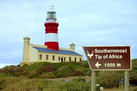 Cape Town: A Spectacular Oceans Clash Encounter Private Tour