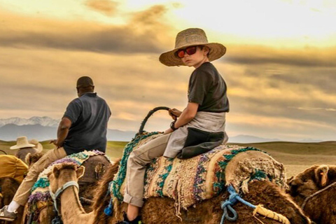 Marrakech: Agafay woestijn Quad &amp; kamelenritten met dinnershow