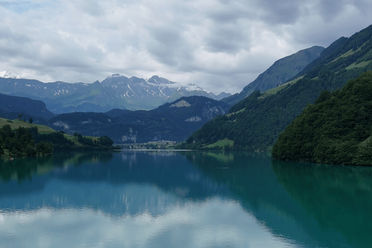 Excursión Aterrizaje forzoso en ti - Explora Suiza