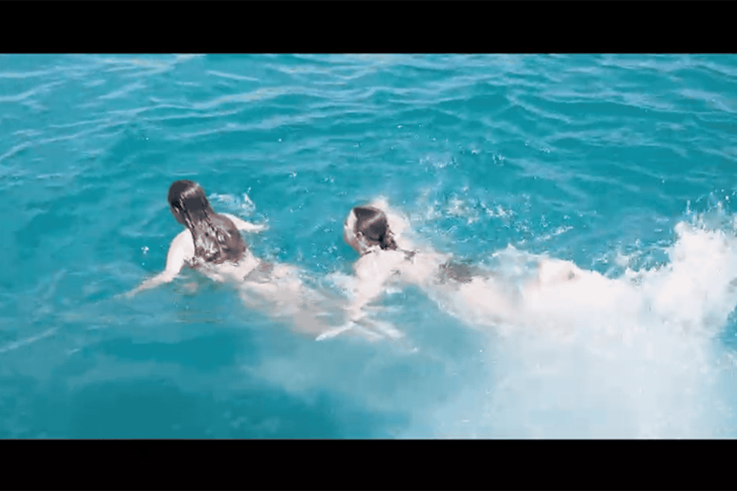 Side: Dolphin Island Boat Tour : A Seaside Adventure