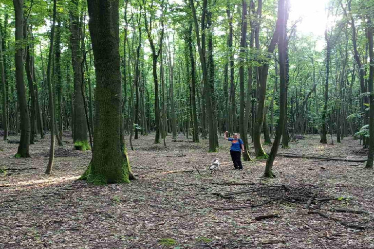 Truffle Hunting Tour, Serbia