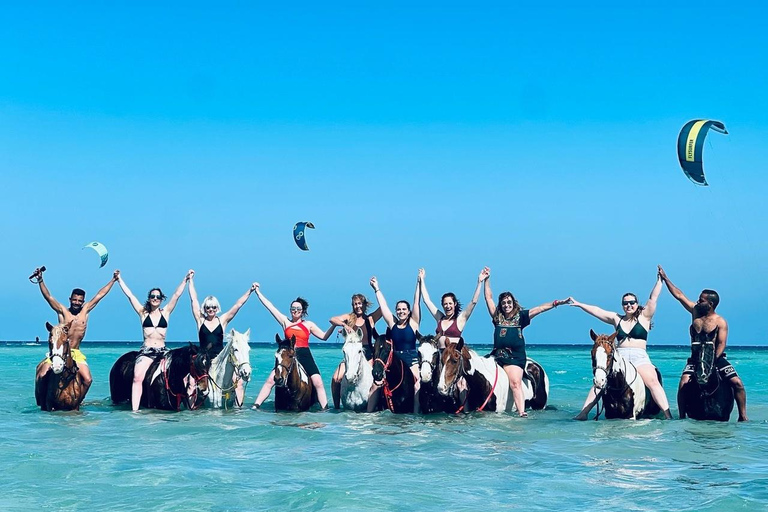 الغردقة: جولة ركوب الخيل في الصحراء والبحر مع خيار السباحةجولة لمدة ساعتين لركوب الخيل بدون السباح