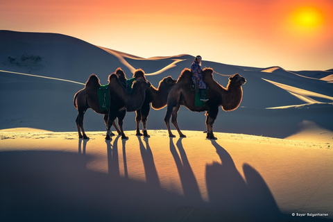 Semi-Gobi, Kharakorum overnight glamping private tour