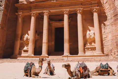 Jordan: 4 Day Tour (Petra, Wadi Rum and Dead Sea Included)