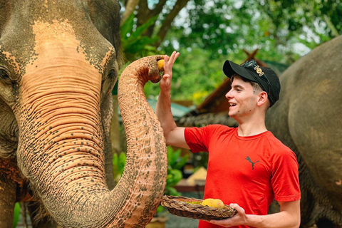 Koh Samui: Ethical Elephant Home Guided Tour with Transfers