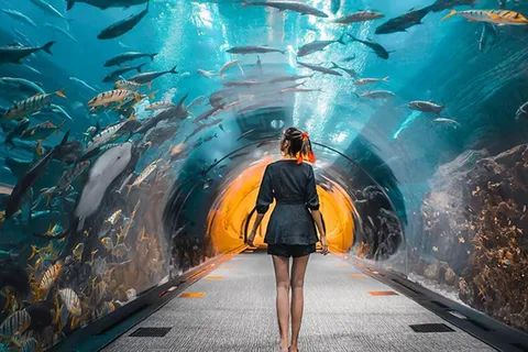 Dubai: Byrundvisning med Burj Khalifa og billet til undervandszoo