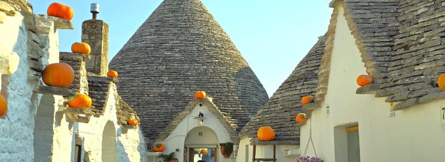 Tour di Alberobello, Locorotondo e Ostuni: guida locale e pranzo