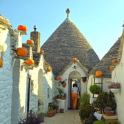 Tour durch Alberobello, Locorotondo & Ostuni: Ortskundiger Guide & Mittagessen