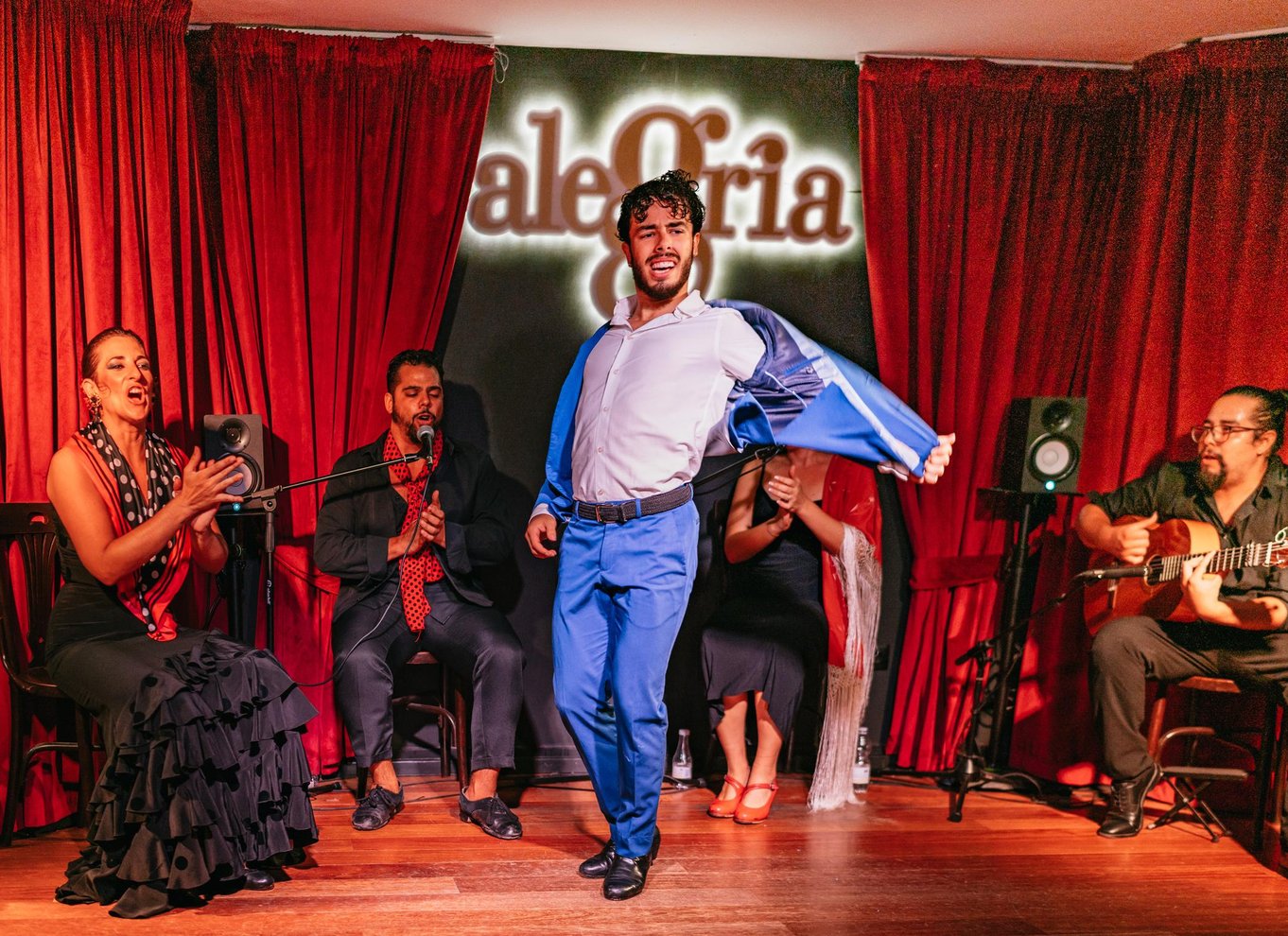 Málaga: Live flamenco-show på Flamenco Alegría