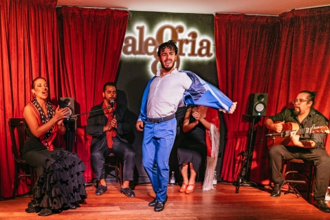 Málaga : spectacle de flamenco au Tablao Alegría