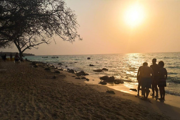 Cartagena: Excursión de un día a la playa de Barú con plancton bioluminiscente