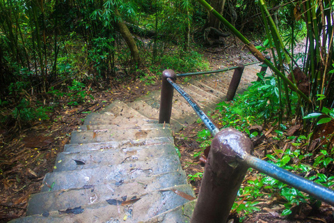 From Bangkok: Khao Yai National Park Day Trip
