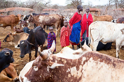 TOUR GIORNALIERO DI ESPERIENZA CULTURALE NEI VILLAGGI MASAI.TOUR DI UN GIORNO DELL&#039;ESPERIENZA CULTURALE DEL VILLAGGIO MASAI.
