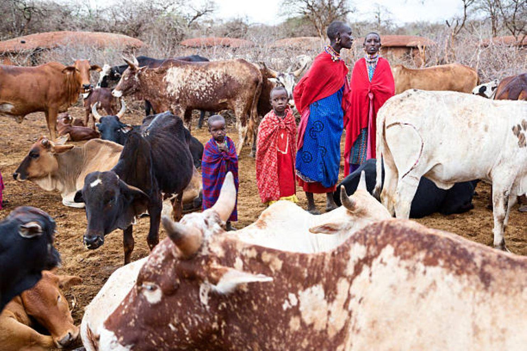 TOUR GIORNALIERO DI ESPERIENZA CULTURALE NEI VILLAGGI MASAI.TOUR DI UN GIORNO DELL&#039;ESPERIENZA CULTURALE DEL VILLAGGIO MASAI.