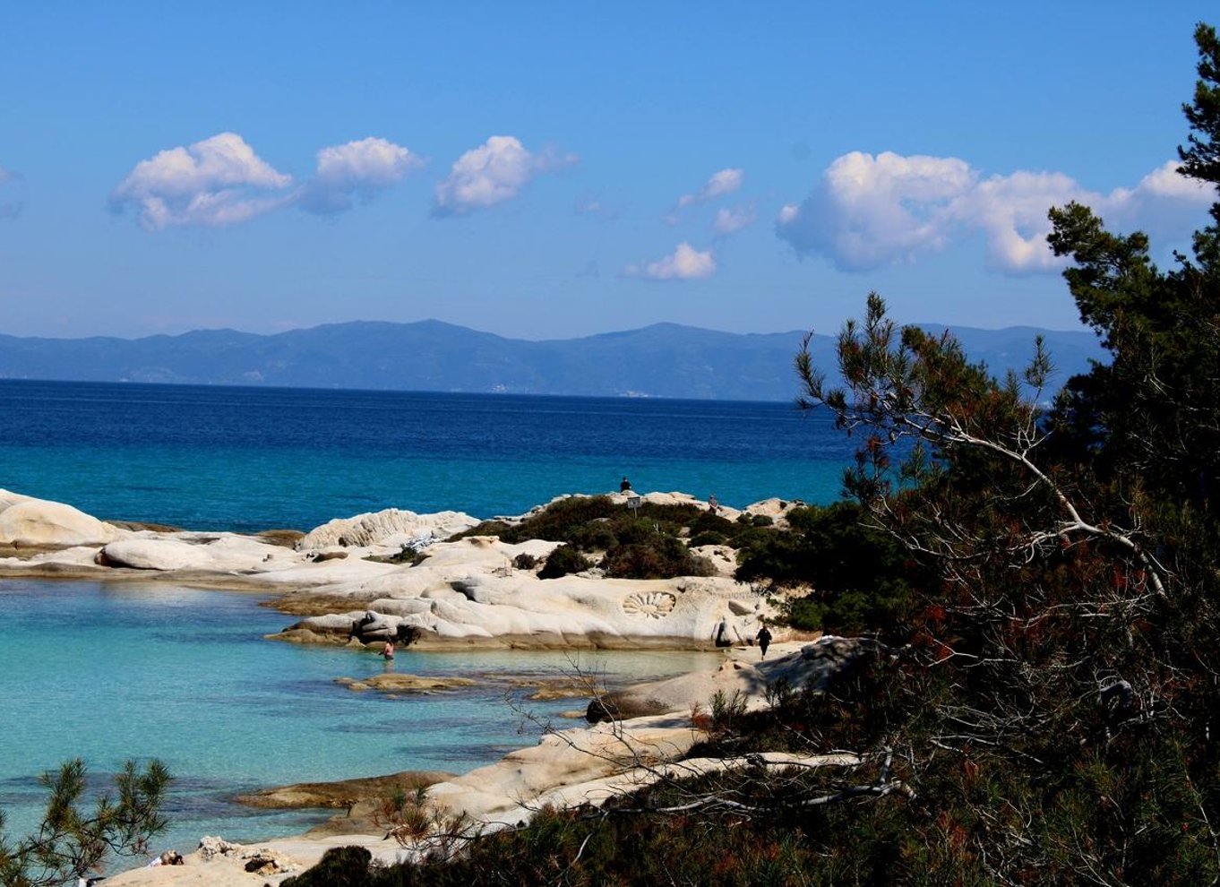 Fra Thessaloniki: Tur til Sithonias strande og naturskønne landsbyer