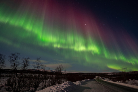 Kiruna: Abisko Northern Lights Tour with photos & transfers