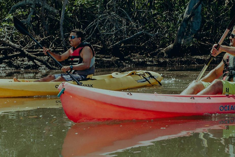 Uvita: Kayak &amp; Snorkel Private Tour - Marino Ballena N. Park