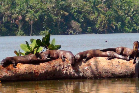 Puerto Maldonado: Tambopata Trek 3 dias 2 noites