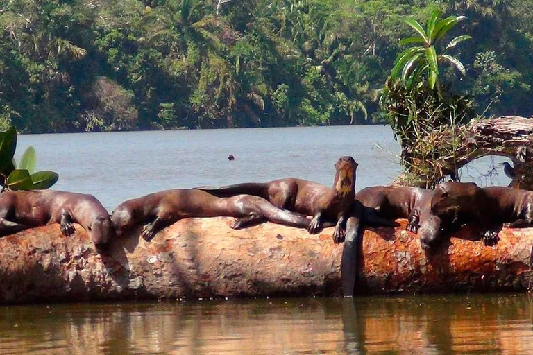 Puerto Maldonado: Tambopata Trek 3 dias 2 noites