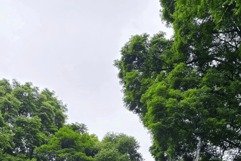 Chengdu Group Tour: Dujiangyan Water System & Mt Qingcheng